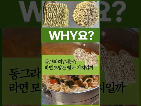 [<strong>Why요</strong>?] 동그라미? 네모?…라면 모양은 왜 두 가지일까 #shorts