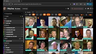 Pareidolia Voxel51 Plugin Demo