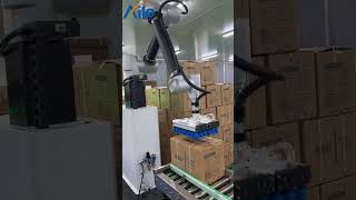 Settable System For Carton Loading And Palletizing Equipment