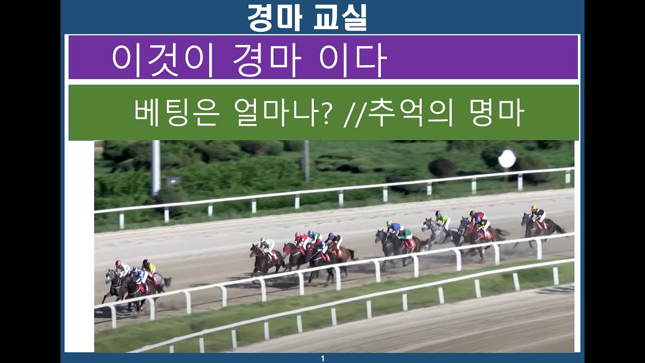 경마교실/경마분석/경마예상/ 추억의 명마
