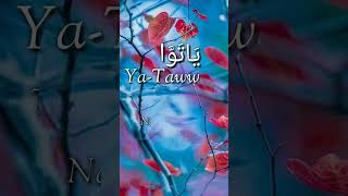 Yatawwab  Name Of Allah  hunainahmed3332