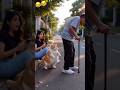 Wait for end 😂😂#cat #comedy #funny #shorts #trendingshorts #youtubeshorts #viralvideo #reels