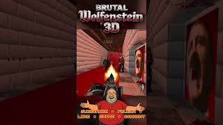 Bullets Everywhere #fatoldgamer #doom2 #brutalwolfenstein3d #funny #funnyvideo #funnyshorts #fpsgame