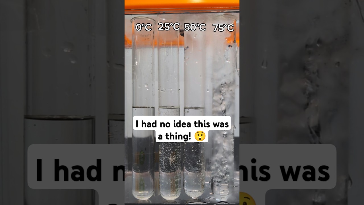 Boiling Water with a Vacuum 😲 