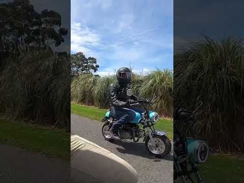 Custom Honda Z50 MonkeyBike Ripping It! #monkeybike #fast