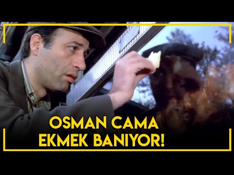 Tokatçı - Osman Cama Ekmek Banıyor!