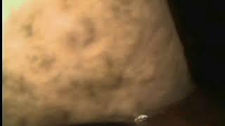 Neptune Society Video