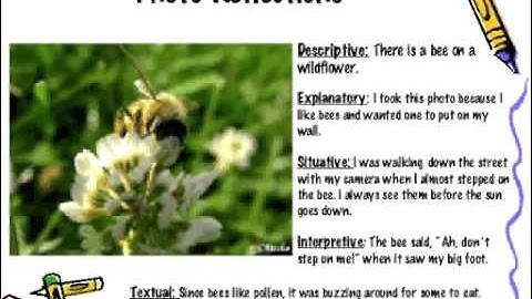 Digital Camera In Classroom