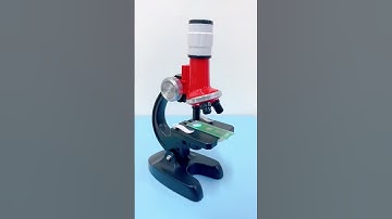 Microscópio infantil