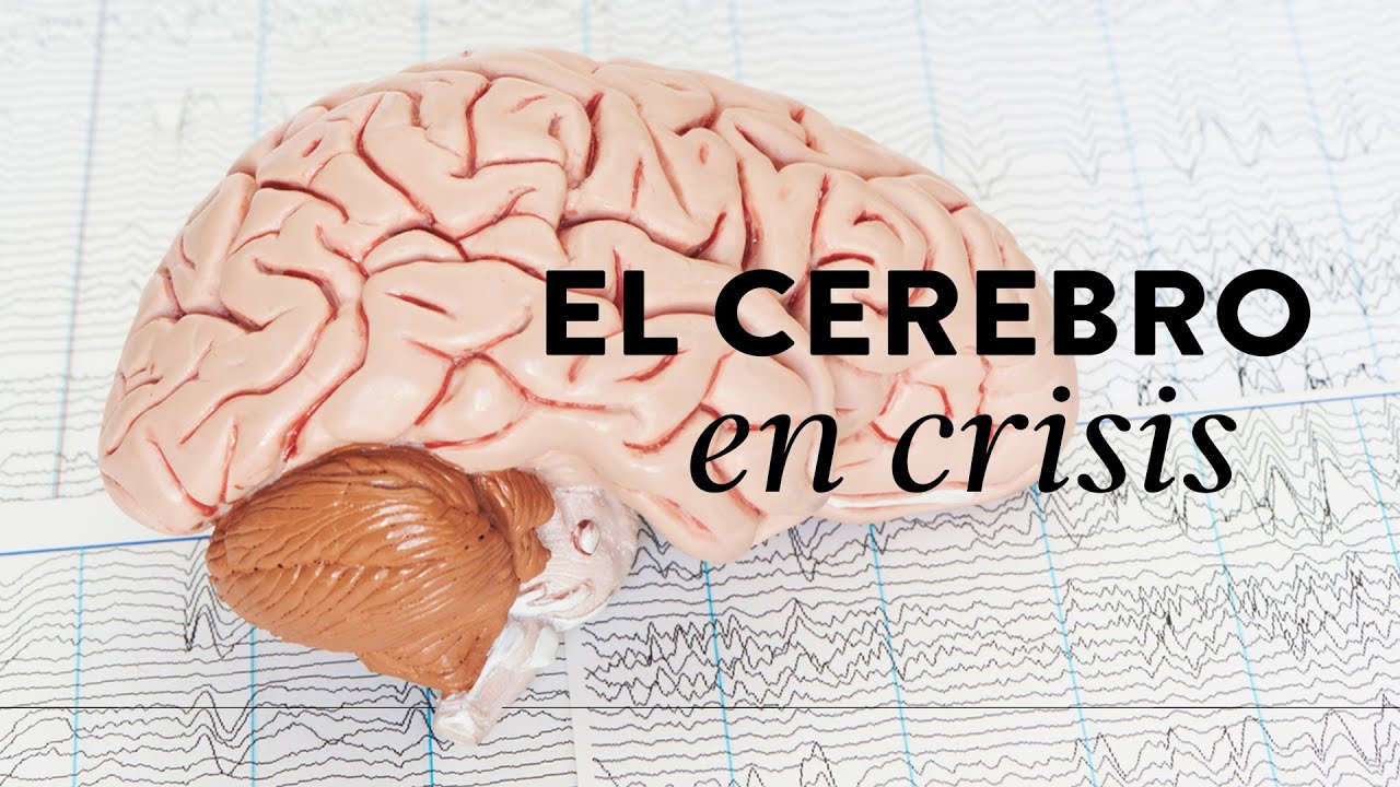 El cerebro en crisis | Martha Debayle - YouTube