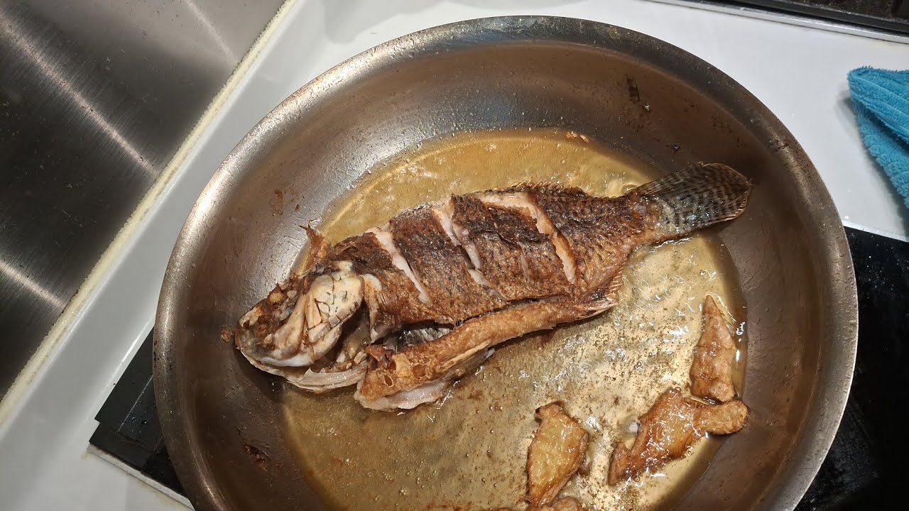 I'm cooking tilapia for my Lunch/@Cecilebilbao4076