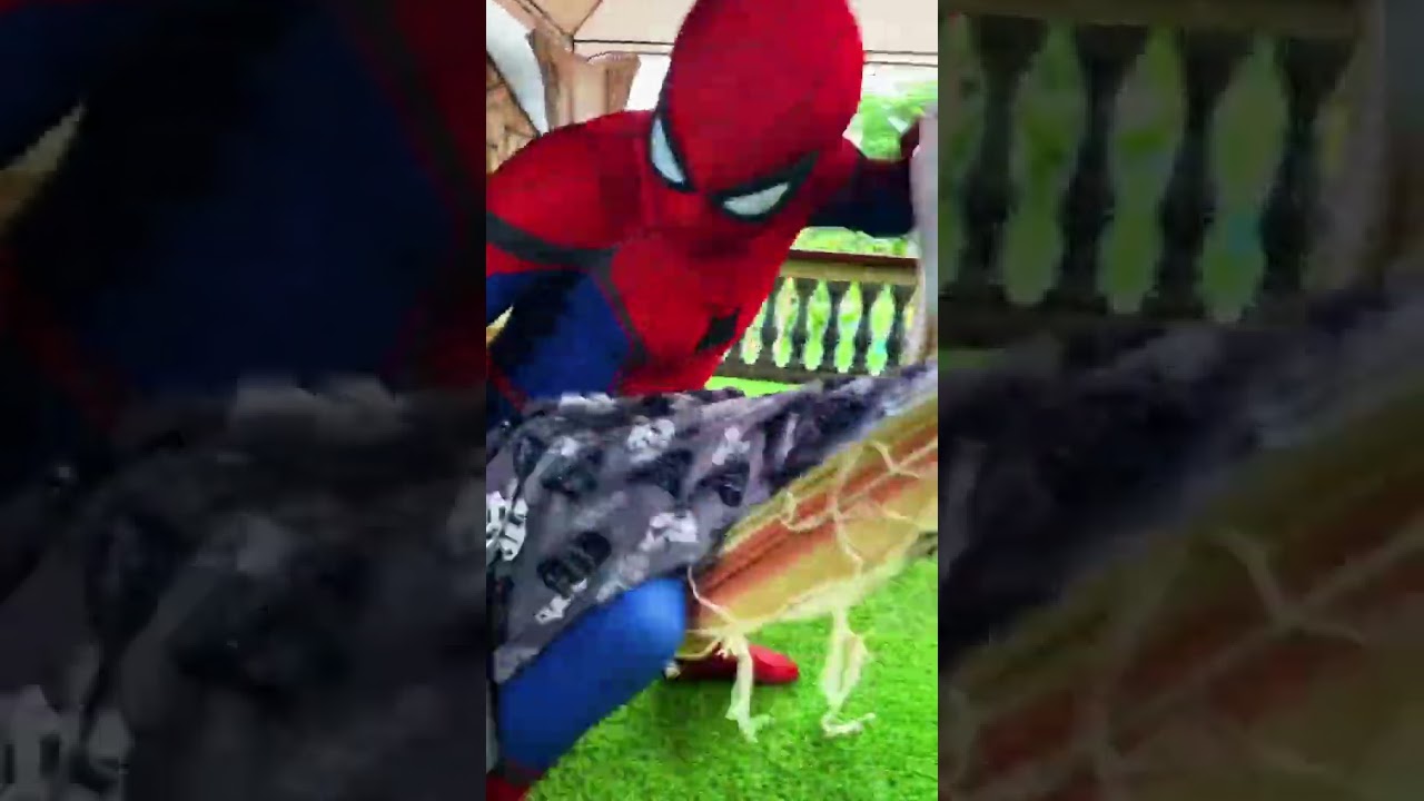 spider slack spider man 