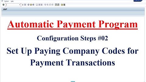 APP Configuration Steps #02 Set Up Paying Company Codes for Payment Transactions