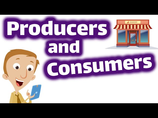 ⁣Producers and Consumers  For Kids