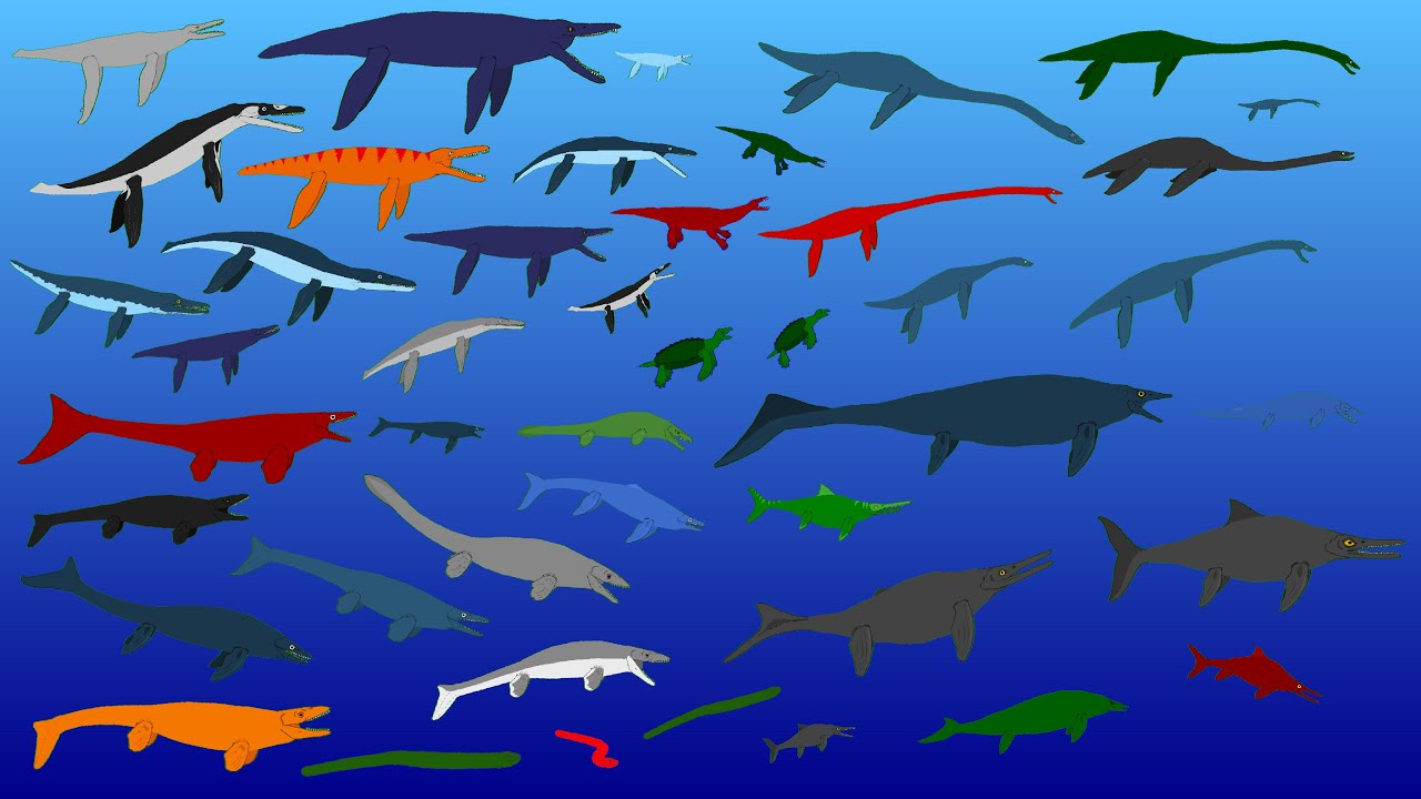 44 Largest Extinct Reptiles - Size Comparison = (Plesiosaurs Pliosaurs