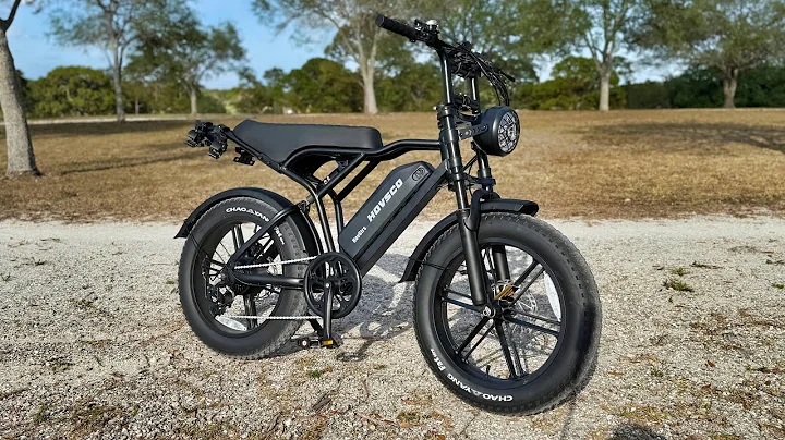This Ebike Changed Me - The Hovsco HOVGTRS 2025!