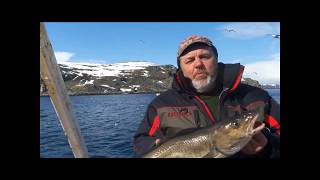 Мурманские морские рыбалки 05 2017
