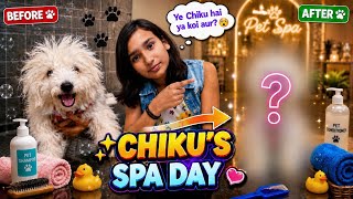 Chiku Ka FIRST Spa Day 😱🐶 | Before vs After Transformation ❤️ screenshot 3