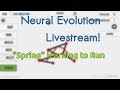 A live neural evolution spring learning to run