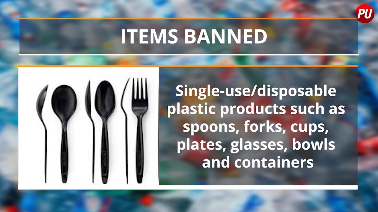 Maharashtra Plastic Ban | Will it be extended?