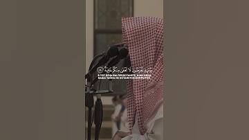 يومئذ تعرضون لا تخفى منكم خافية || تلاوة جميلة جدآ || 🥹🤍