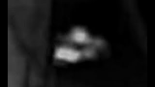 The Swaying of the Grays Harbor Bigfoot (Thermal footage)