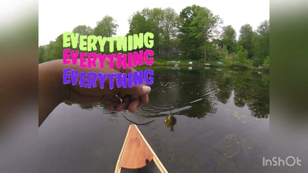 Fishing Friends - Catching a bunch of Bass, Bluegill, and Pickerel on the Rubber Worm