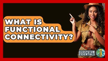 What Is Functional Connectivity? - Ecosystem Essentials