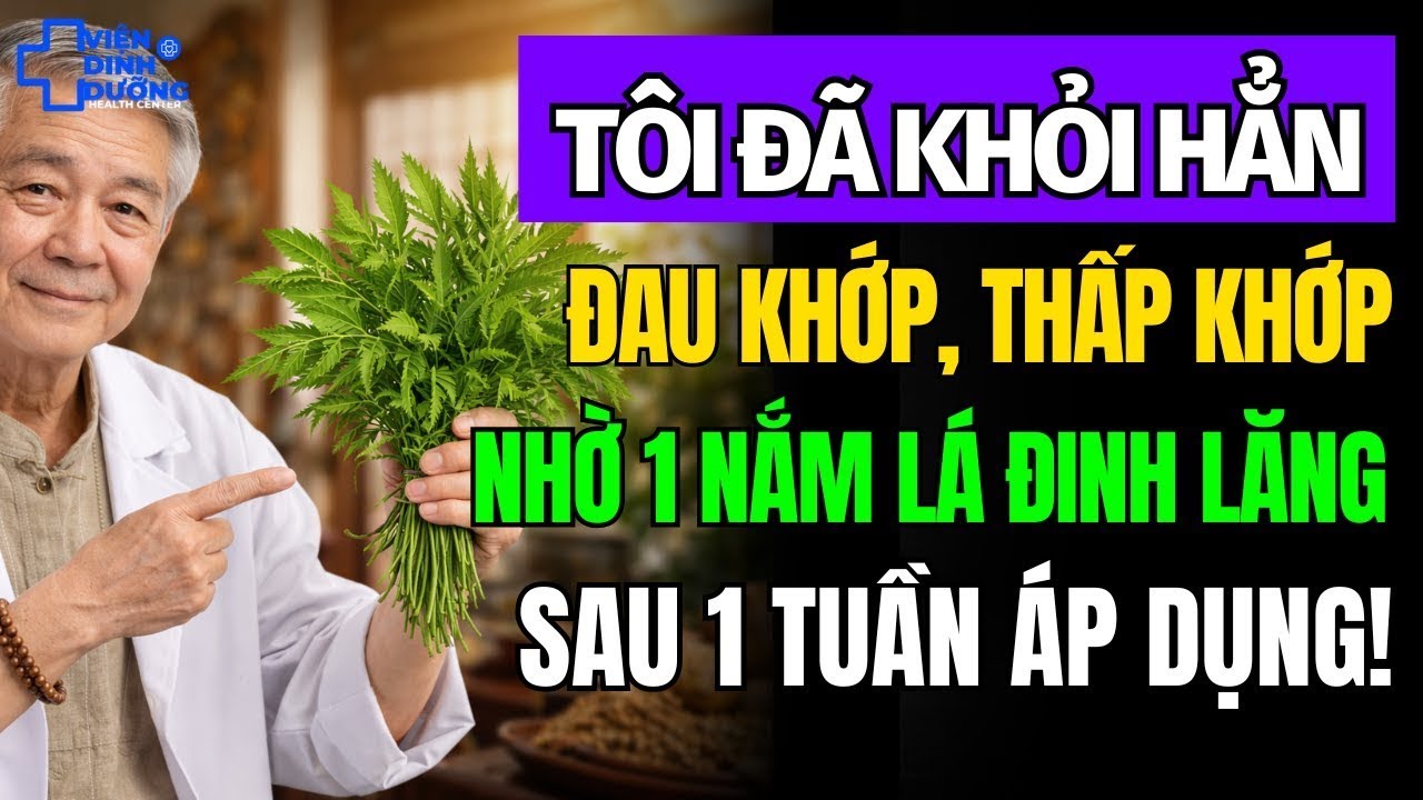 3 Cách Dùng Lá Đinh Lăng Giảm Đau Xương Khớp Tại Nhà Cực Kì Hiệu Quả Chỉ Sau 1 Tuần
