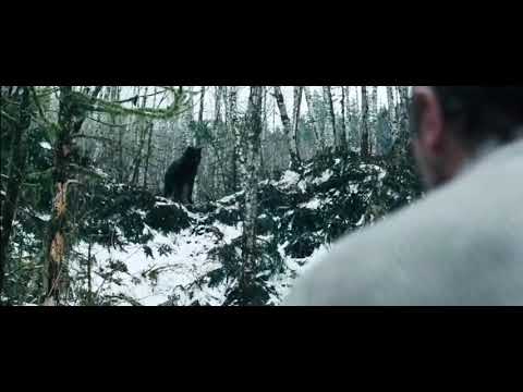 რუხი ფერი