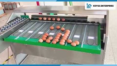 Fully Automated Egg Grader Machine & Egg Sorting Machine | 3000-25000 Eggs Per Hour  | Keyul