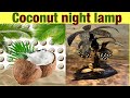 Homemade coconut night lamp. How to make