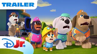 New Episodes | Pupstruction ? | Disney Jr. MENA