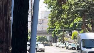 Honolulu fire department hazardous materials level 1 responding
