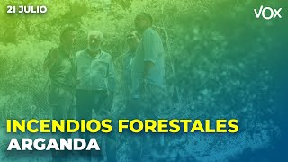 21.07 | VOX exige una buena gestión forestal para prevenir los incendios