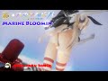 【4K ドラマチックMMD】艦これxアイマリンプロジェクト「Marine Bloomin'」