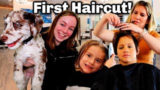 New Haircuts! | First Haircut