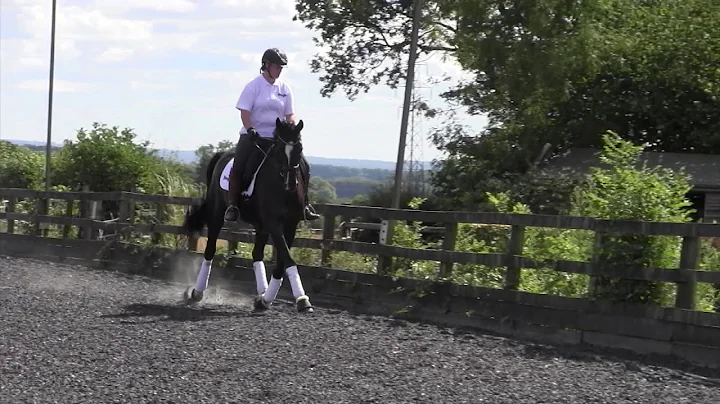 Introducing leg yield with Alice Oppenheimer | Hor...