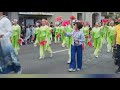 More of the Grand Floral Starlight Parade