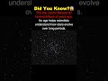 The Sun’s Long-Lost Family? (Messier 67) ☀️👯♂️ #space #spacefacts #viralspace #sciencefacts #nasa