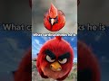 What Cardinal Thinks He Is Vs Reality Shorts Birds Birdfy Birdwatching Cardinals