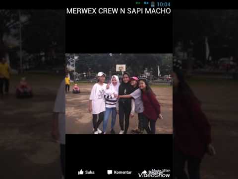 Merwex Crew ft sapi Macho Curhat (crht)