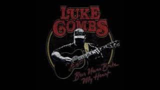 Luke Combs - Beer Never Broke My Heart