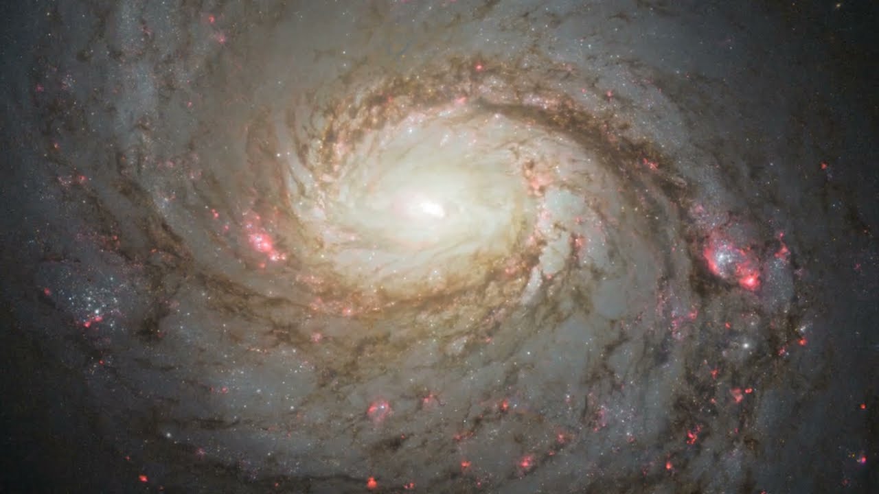 Messier 77, Hubble Spots a Squid in the Whale 