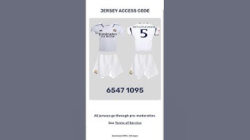 VRfS jersey code