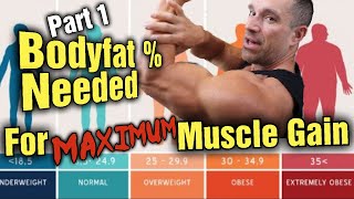 How Much Body Fat and Calories are Needed for Maximum Muscle Growth? (Part 1 - Growth)