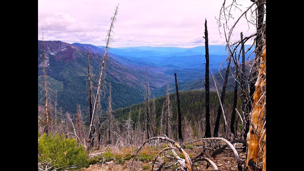 Basalt Ridge trail, August 2024 - YouTube