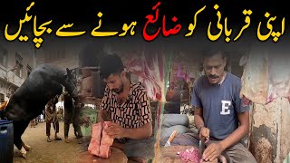 Apni Qurbani Zaya Hony Se Bachay Professional Qasai Vs Anari Qasai Cow Qurbani By Pro Qasai