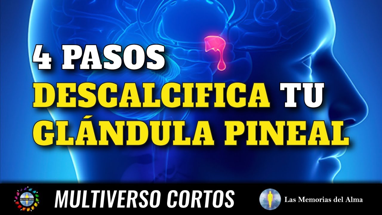 Como Descalcificar A Glandula Pineal - RETOEDU