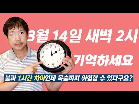 3월 14일 새벽 2시를 기억하세요 | 미국 서머타임 (일광절약시간제) 실시 | 불과 1시간 차이인 데 Y2K에 버금가는 대혼란이 일어날 수도 있다 | 서머타임에 얽힌 스토리⏰